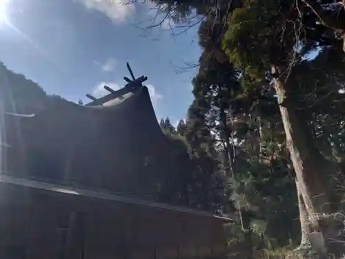 白鳥神社の本殿・本堂
