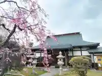 法岩院の本殿・本堂