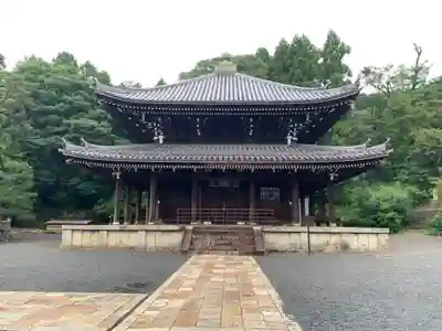 知恩院の本殿・本堂