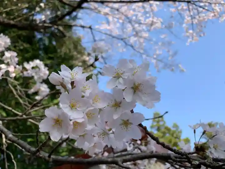 滑川神社 - 仕事と子どもの守り神(福島県)