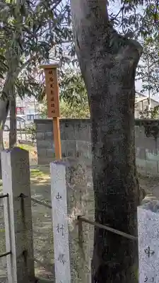 大藤神社(京都府)