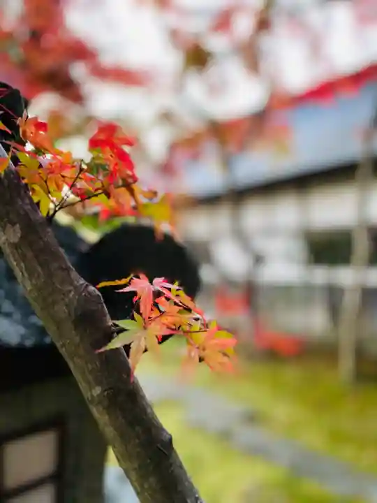 志波彦神社・鹽竈神社の自然