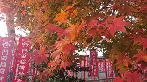 門田稲荷神社の自然