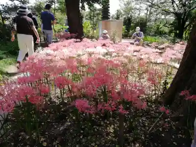横浜　西方寺(神奈川県)