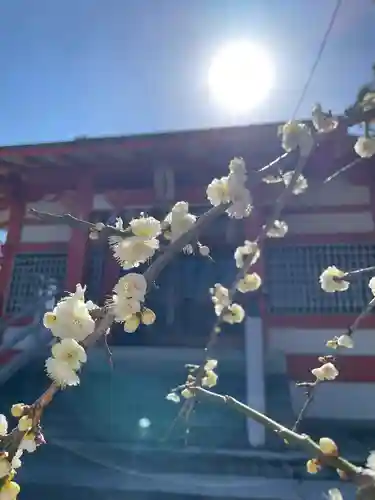 貴布袮神社の自然