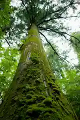 二所山田神社の自然