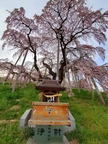 瀧桜神明宮(福島県)
