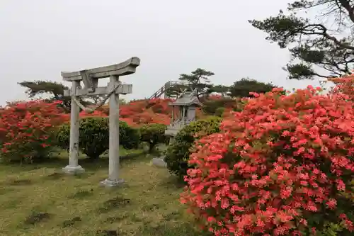 高柴山神社の鳥居