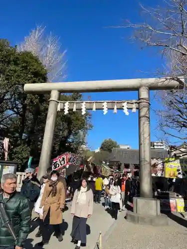浅草神社の初詣