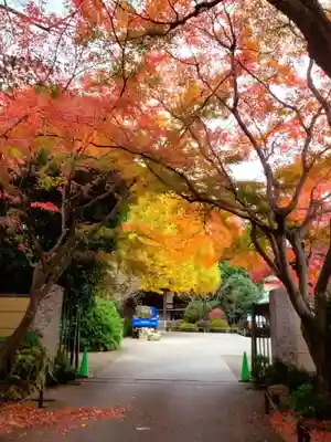 高円寺(東京都)