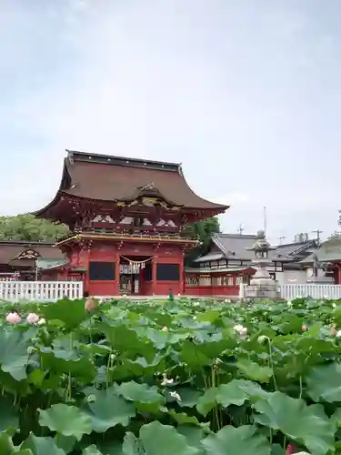 伊賀八幡宮の山門・神門