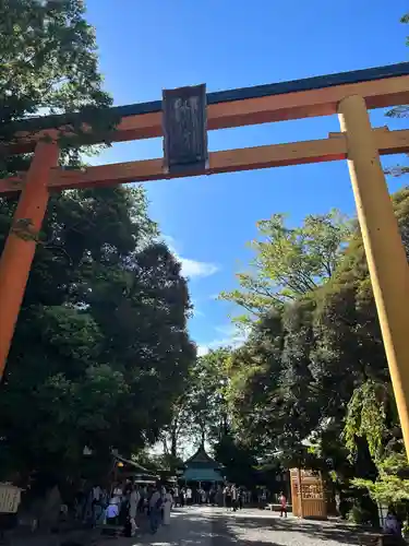 川越氷川神社(埼玉県)