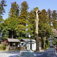 國魂神社の狛犬