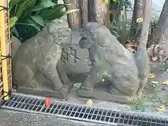 麻布氷川神社の狛犬