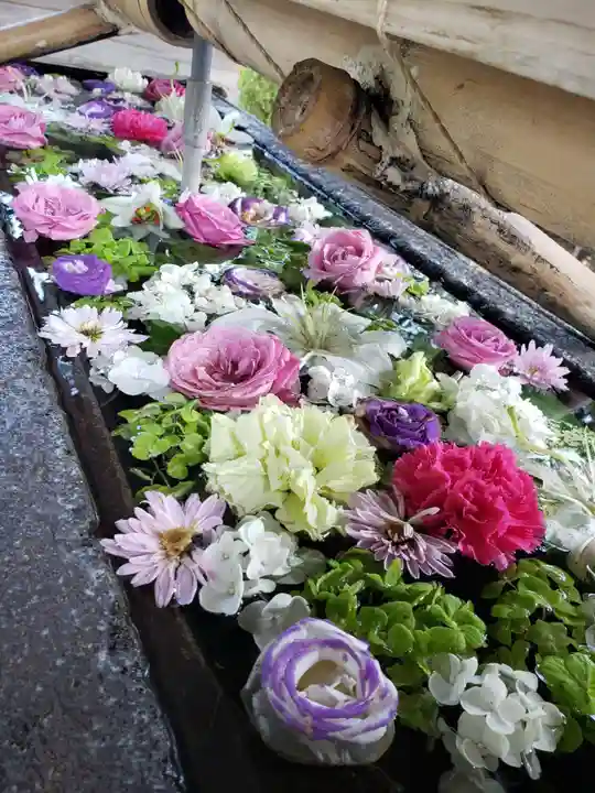 鳩森八幡神社の手水舎