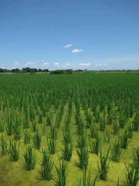 神明神社(千葉県)