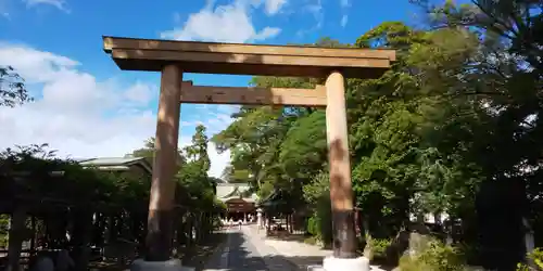 越ヶ谷久伊豆神社の鳥居