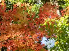 深大寺の自然