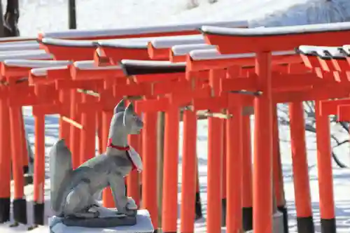 高屋敷稲荷神社の鳥居