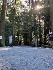 椿大神社の鳥居