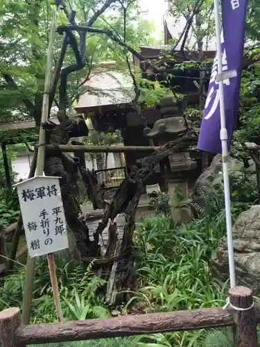 愛宕神社の建物その他