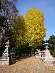 船著神社の自然