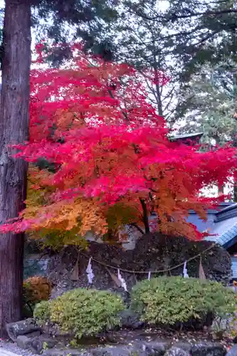 諏訪大社下社秋宮(長野県)