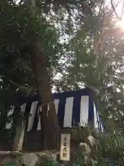 安居神社の自然