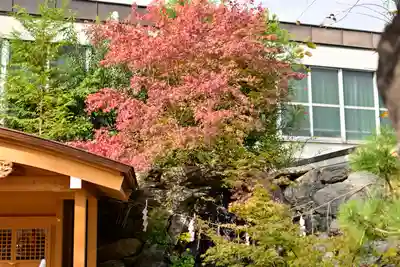 蛇窪神社のその他建物