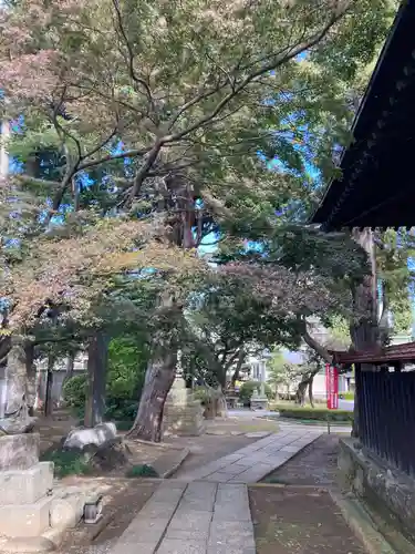 実蔵院のその他建物