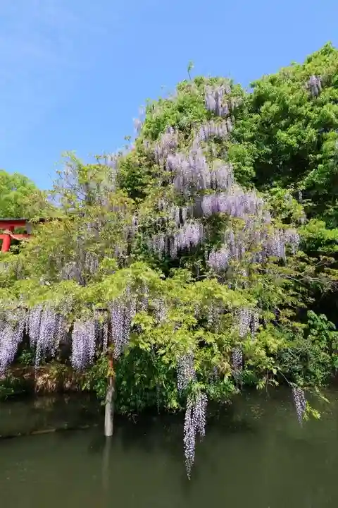 嘉川八幡宮(山口県)