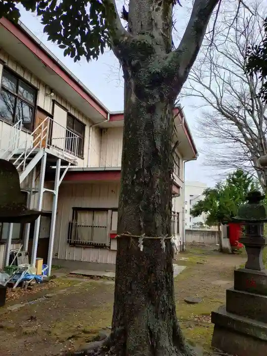 今井神社(千葉県)