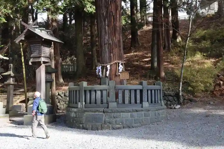 諏訪大社下社春宮(長野県)