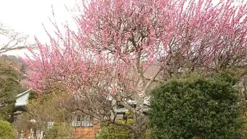 明鏡山龍雲寺の庭園