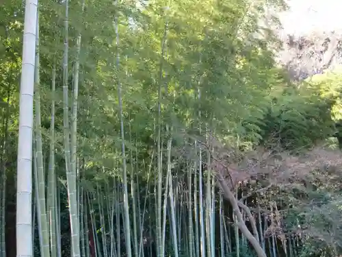 英勝寺(神奈川県)