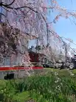 白狐山光星寺(山形県)