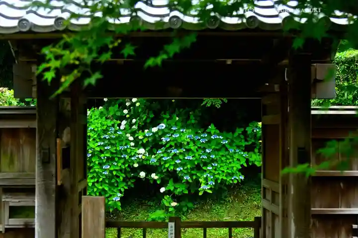 長壽寺(長寿寺)(神奈川県)