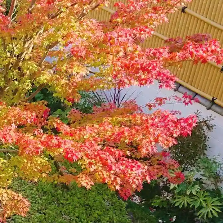 寿量山 速成寺の自然