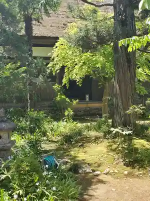 大雄寺のその他建物