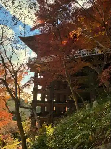 清水寺(京都府)