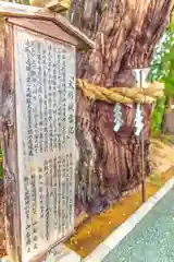 大國魂神社の自然