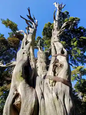 伊古奈比咩命神社(静岡県)
