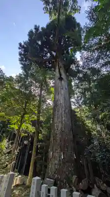 江文神社(京都府)