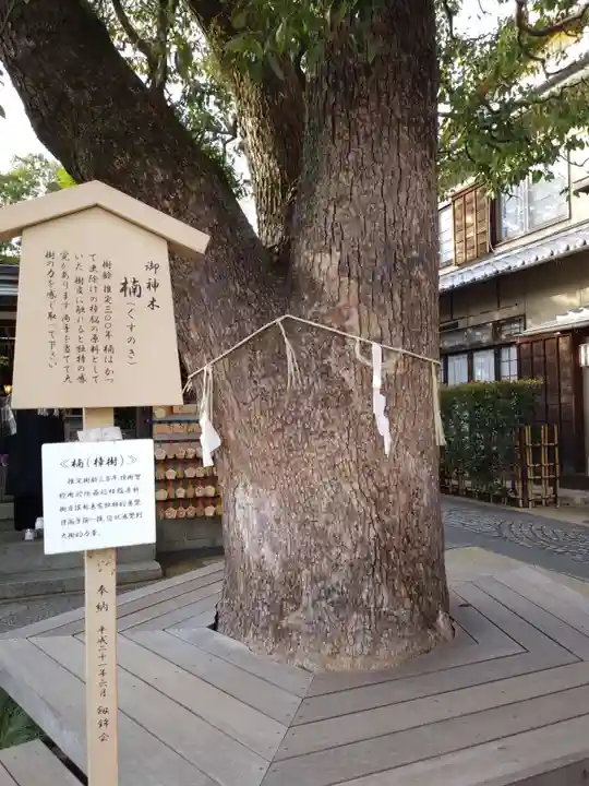 晴明神社の自然