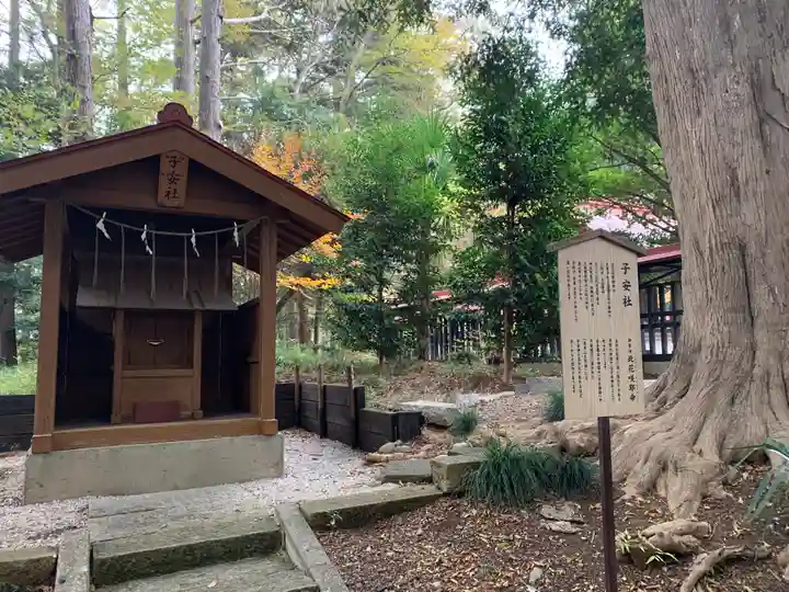 塚崎神明社(千葉県)