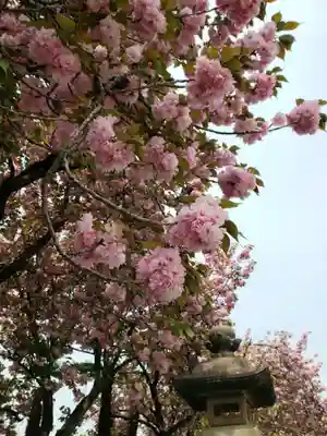 荘厳寺(東京都)