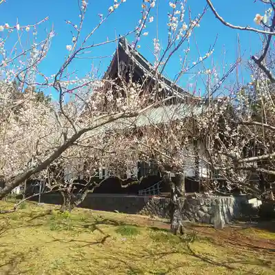 瑞雲寺の本殿・本堂