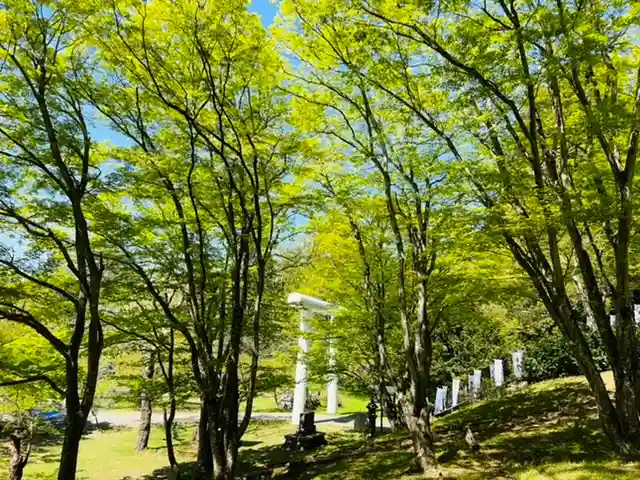 土津神社|こどもと出世の神さまの自然