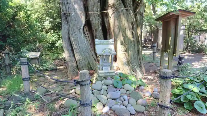 大瀬神社の自然
