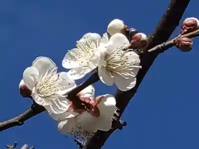 町田天満宮(東京都)